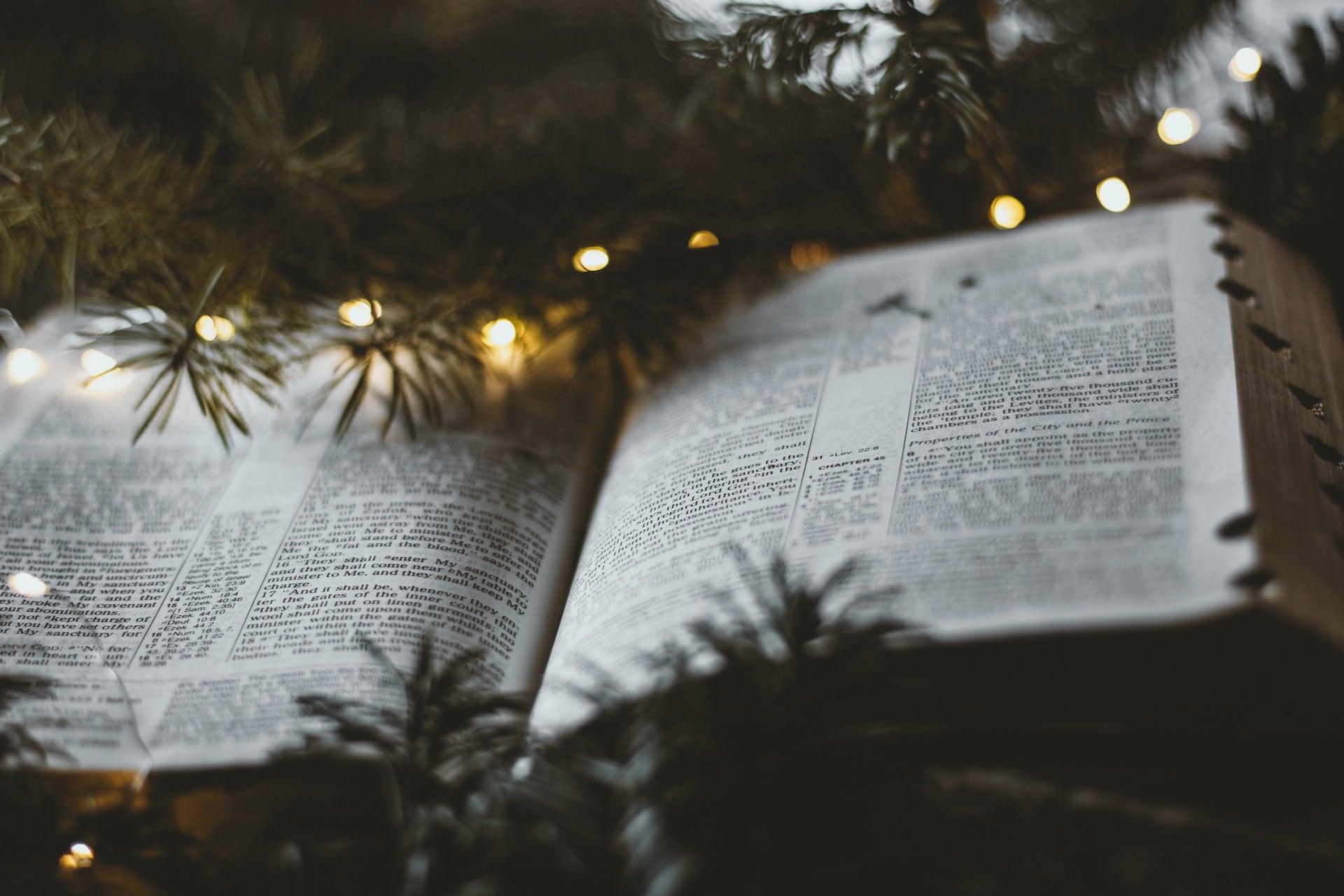 The Promise of Hope: A Christmas Advent Journey through Jeremiah 33:14-16
